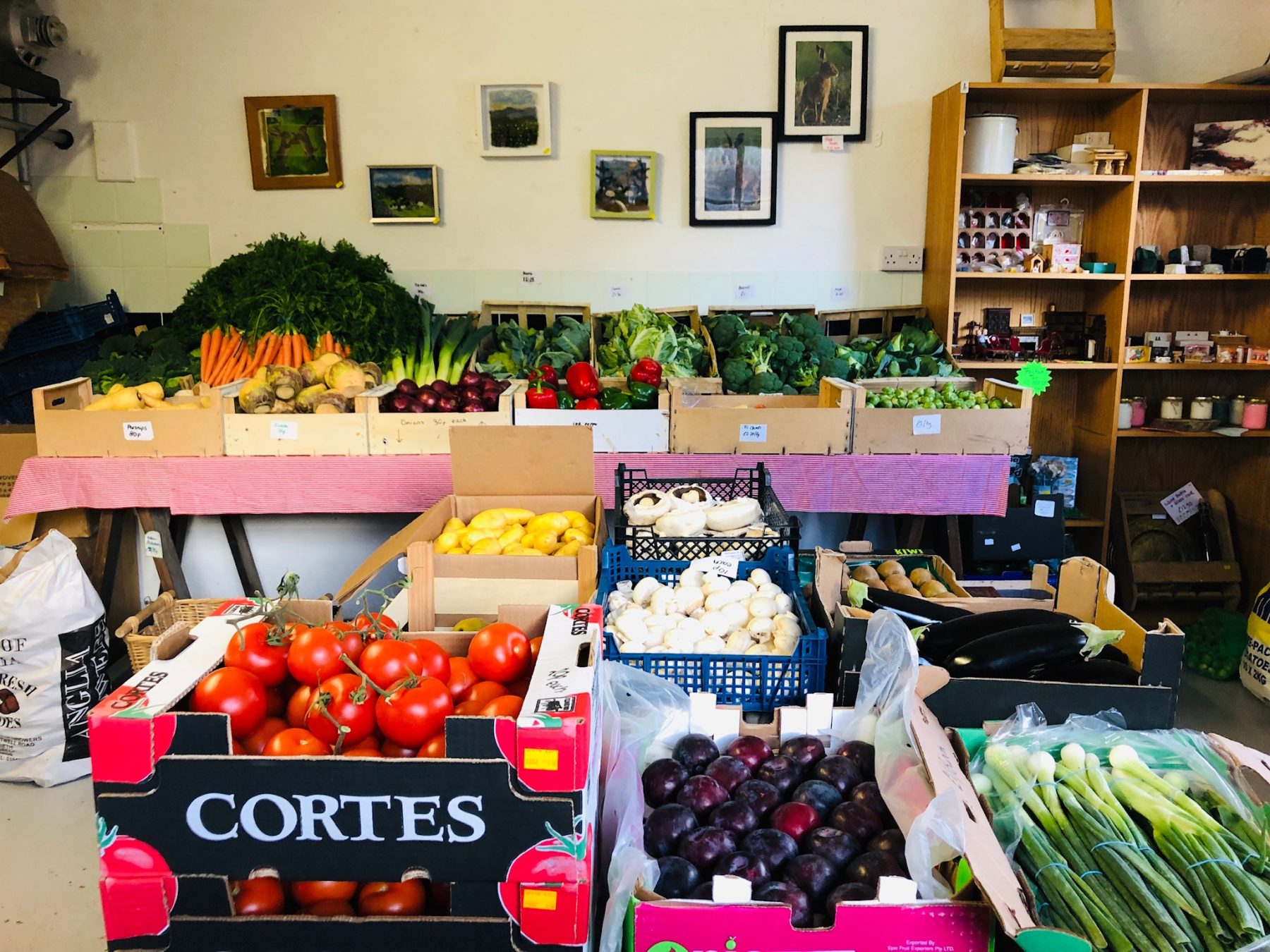 fresh produce on sale in the shop