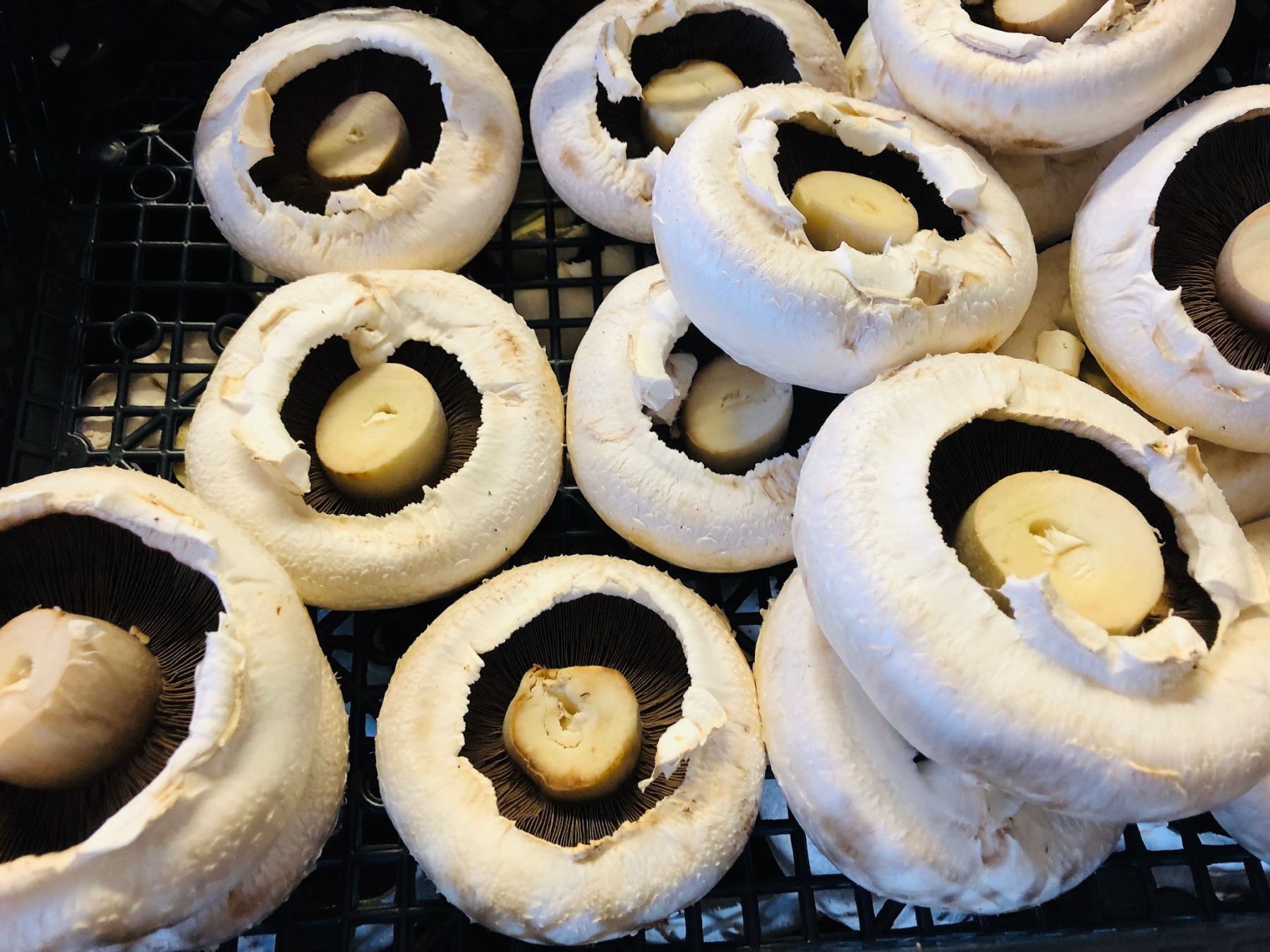 fresh mushrooms on sale in the shop