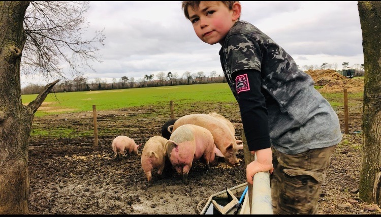 out in the fields