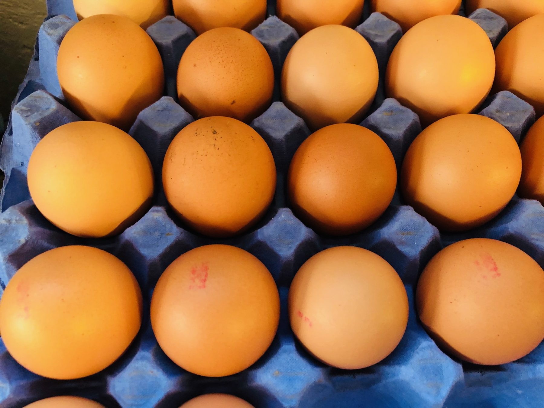 fresh eggs on sale in the shop